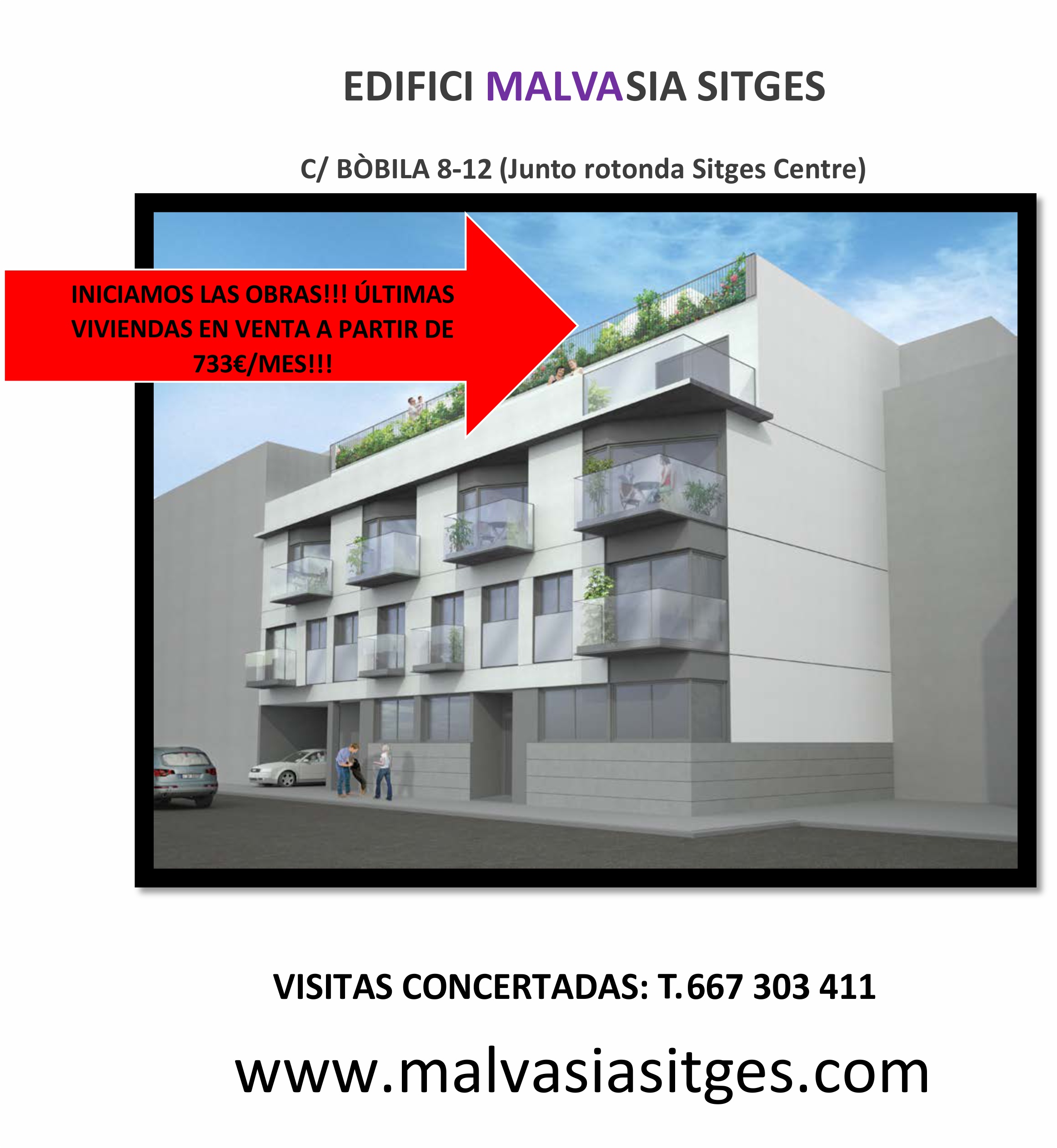 vasia vasia