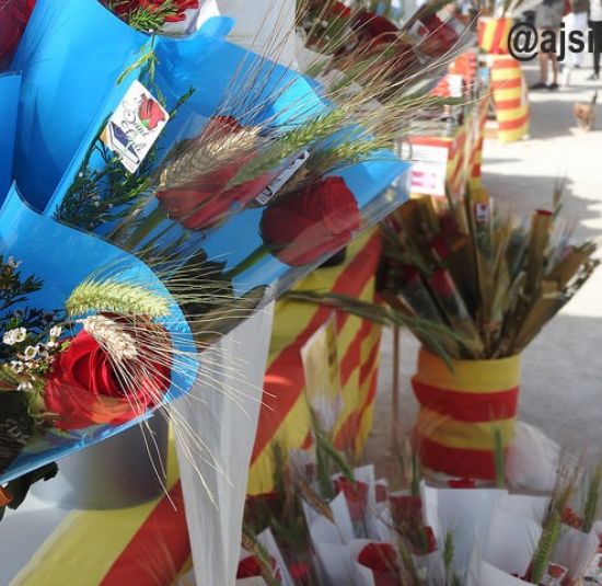 Sant-Jordi-sitges-2018 Sant-Jordi-sitges-2018